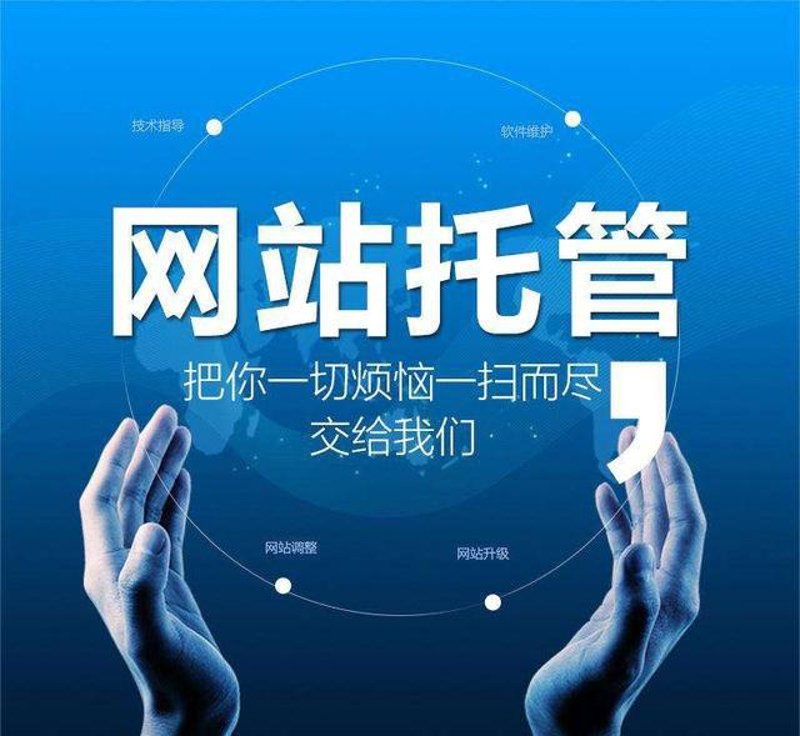 站群系统的行业动态与趋势探析